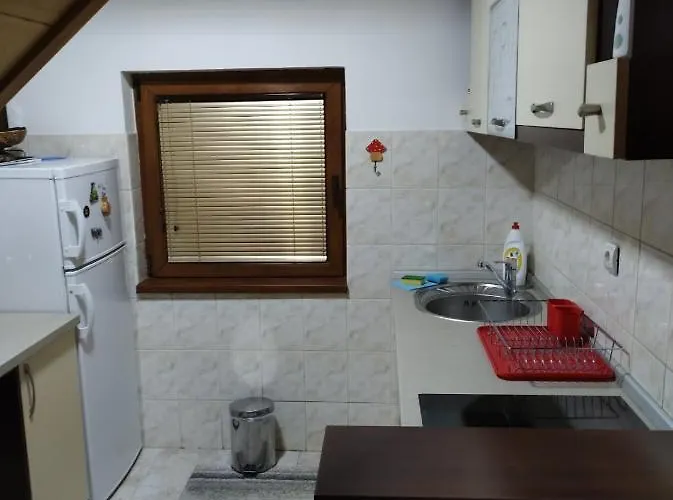 Vilotijevic - Tara Centar 펜션