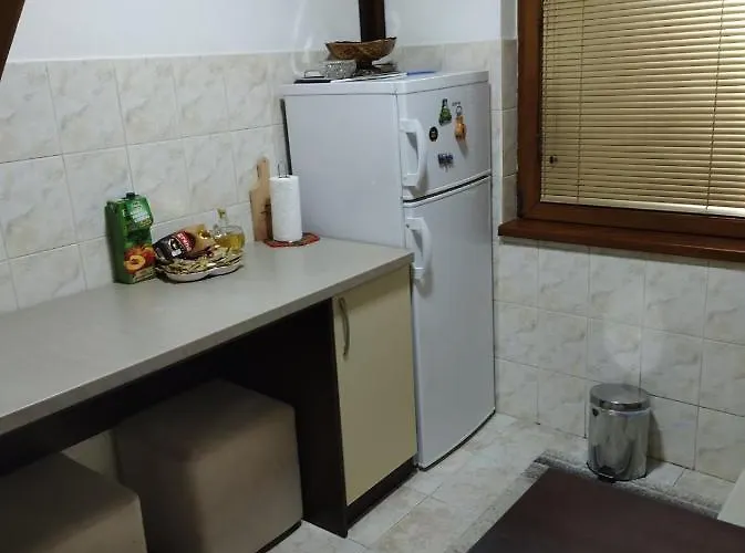 펜션 Vilotijevic - Tara Centar 바레