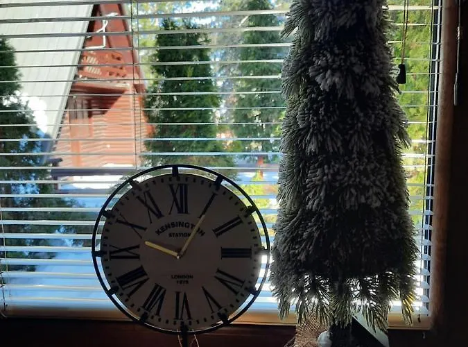 Vilotijevic - Tara Centar 펜션