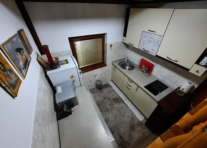 펜션 Vilotijevic - Tara Centar 바레