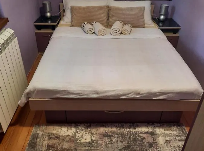 펜션 Vilotijevic - Tara Centar *