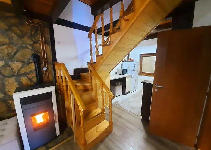 Vilotijevic - Tara Centar