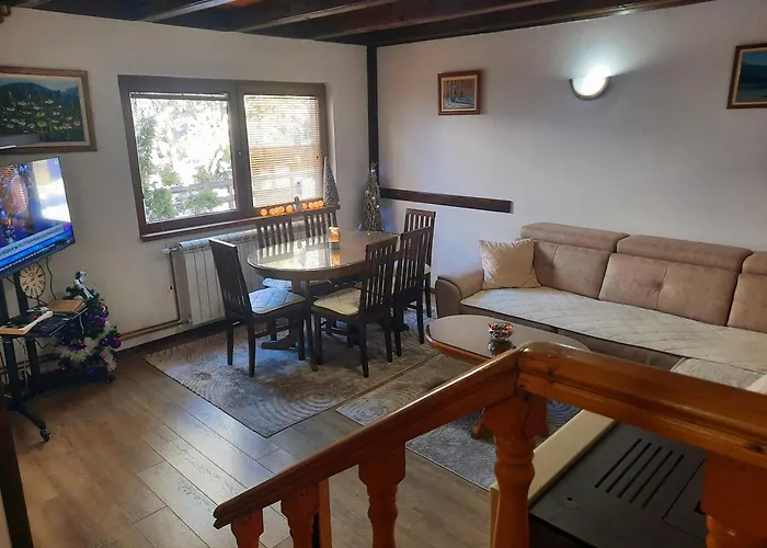 Vilotijevic - Tara Centar 펜션 *