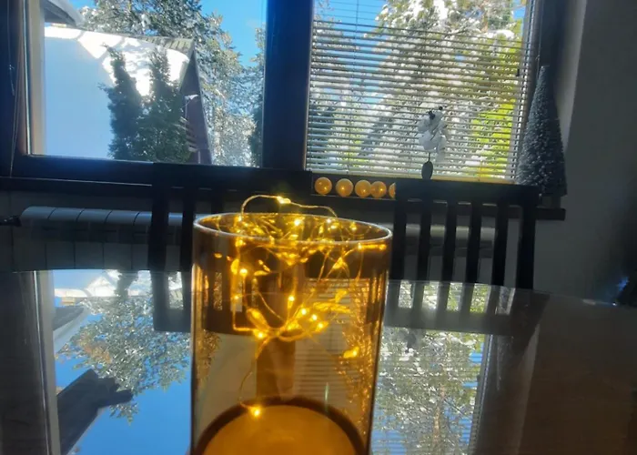 펜션 Vilotijevic - Tara Centar *